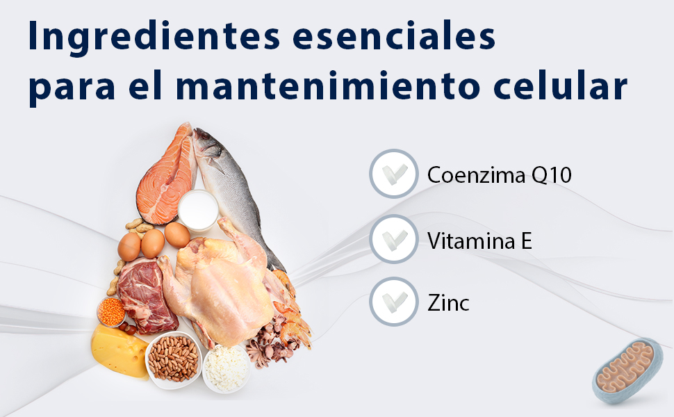 Imagen de descripción