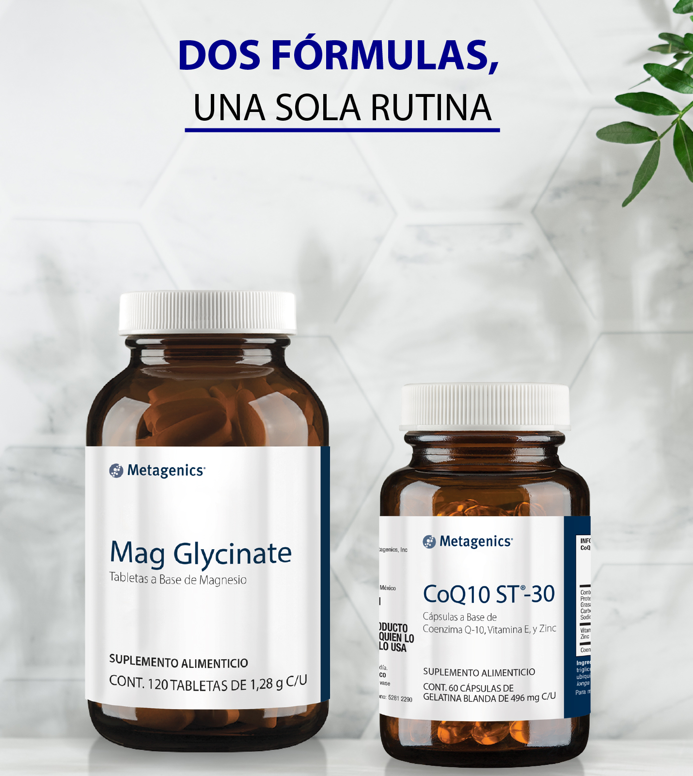 Paquete MagGlycinate-CoQ10ST30